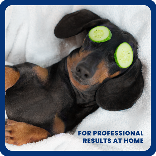 2-in-1 Dog Shampoo