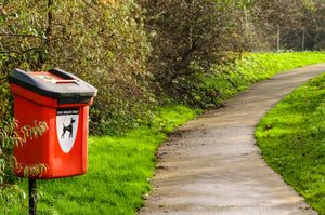 Dog waste bin in the park - what happens to dog waste