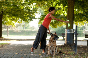 Biodegradable vs Recycled Poop Bags: Which Is Better?