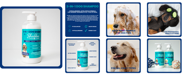 A promotional collage for a dog shampoo product showing multiple bottles, a pump bottle, ingredient panels, and dog photos. The main product is a white bottle with a teal label reading '2-in-1 Dog Shampoo' and 'Shea & Aloe'.