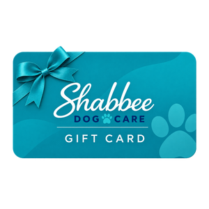 A teal gift card for Shabbee Dog Care, featuring a large white script logo, 'DOG CARE' in dark blue, 'GIFT CARD' in white, a teal ribbon bow on the left, and a teal paw print on the right, set against a plain white background.