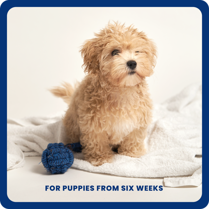 Puppy Shampoo