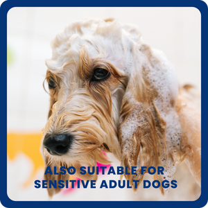 Shabbee Puppy Shampoo