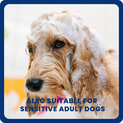 Puppy Shampoo