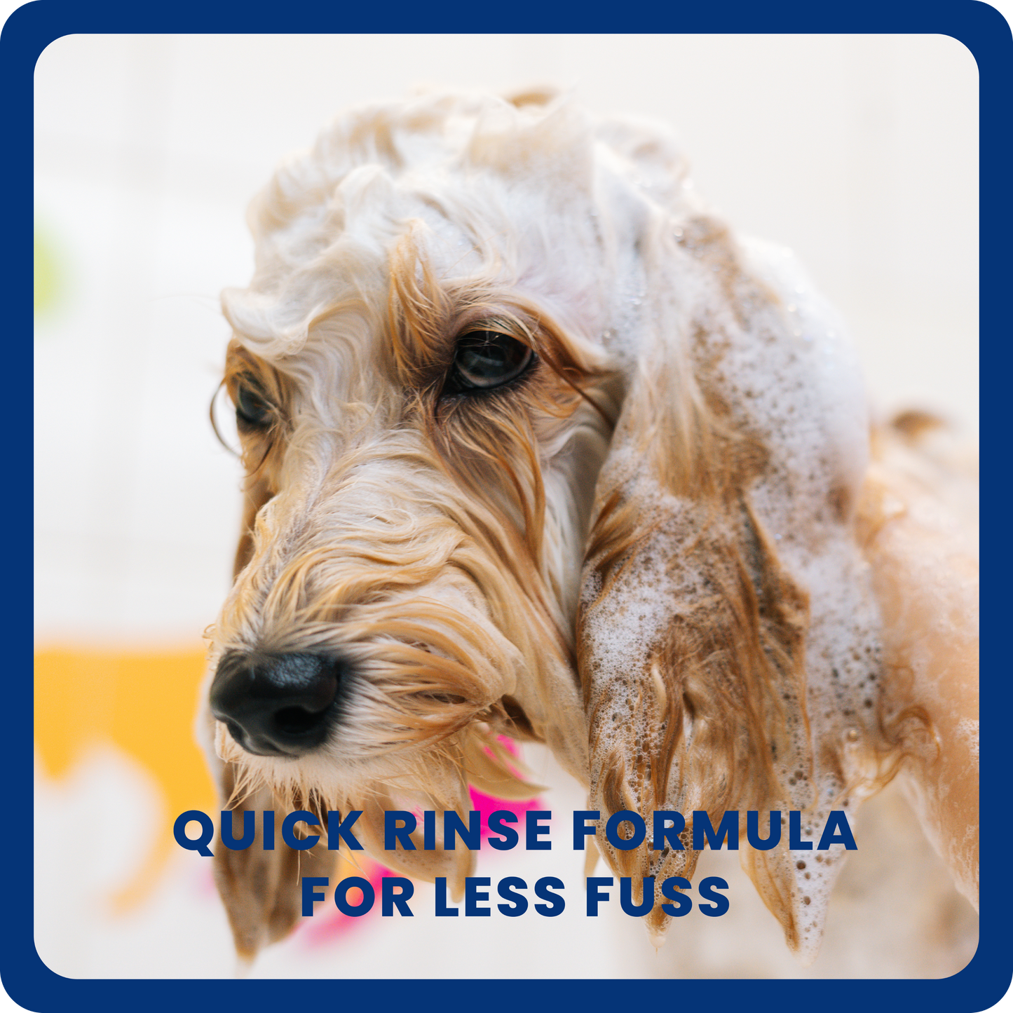 2-in-1 Dog Shampoo