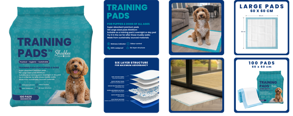 A product bundle graphic for Shabbee Dog Care training pads, showing a teal bag of 100 pads, a diagram of the 6-layer structure, a large size measurement chart (60 x 60 cm), a small size measurement chart (30 x 30 cm), and lifestyle photos of a golden doodoodle sitting on a large training pad in a living room and on a white floor mat in a bedroom.