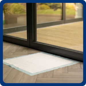 White training pad with blue border on a wooden floor in front of glass doors.