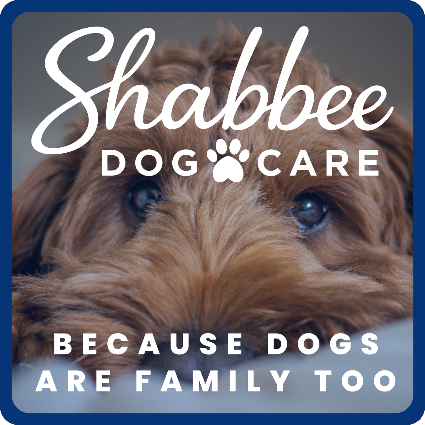 2-in-1 Dog Shampoo
